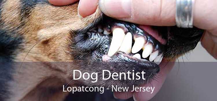 Dog Dentist Lopatcong - New Jersey
