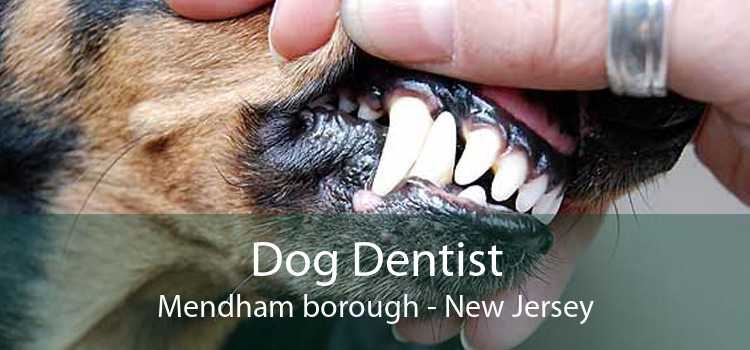 Dog Dentist Mendham borough - New Jersey