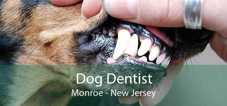 Dog Dentist Monroe - New Jersey