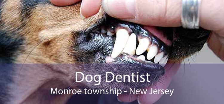 Dog Dentist Monroe township - New Jersey
