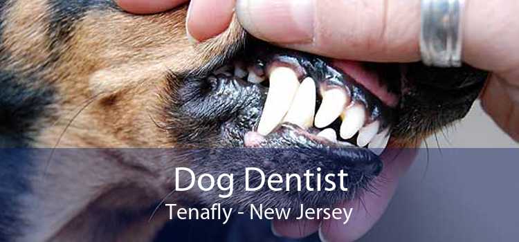 Dog Dentist Tenafly - New Jersey