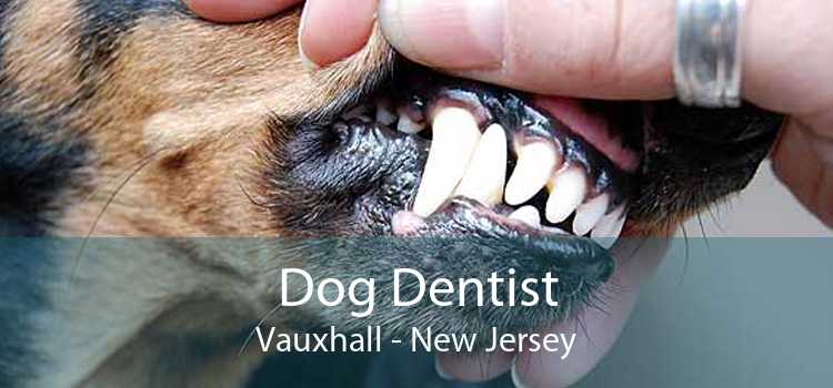 Dog Dentist Vauxhall - New Jersey