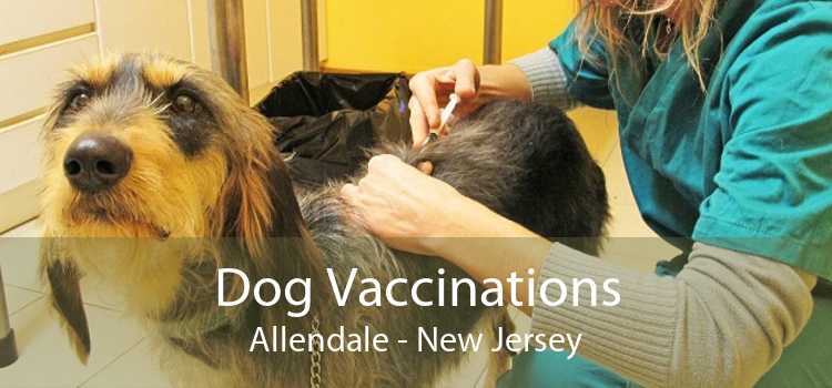 Dog Vaccinations Allendale - New Jersey
