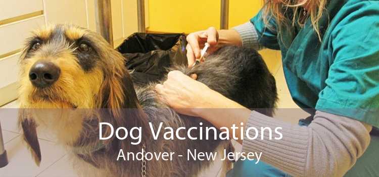 Dog Vaccinations Andover - New Jersey