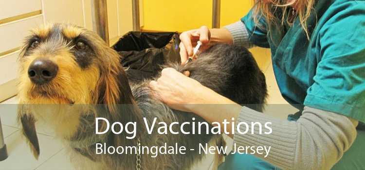 Dog Vaccinations Bloomingdale - New Jersey