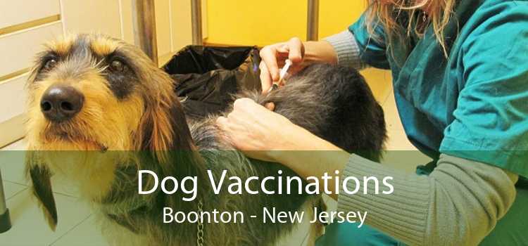 Dog Vaccinations Boonton - New Jersey