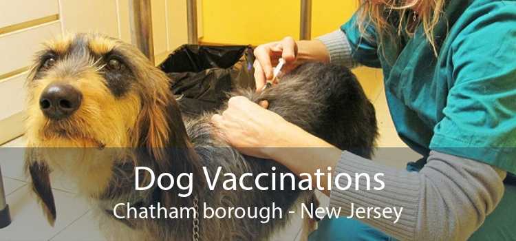 Dog Vaccinations Chatham borough - New Jersey