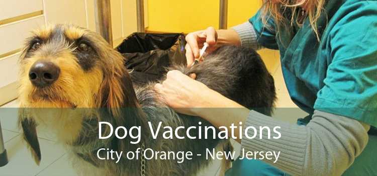 Dog Vaccinations City of Orange - New Jersey