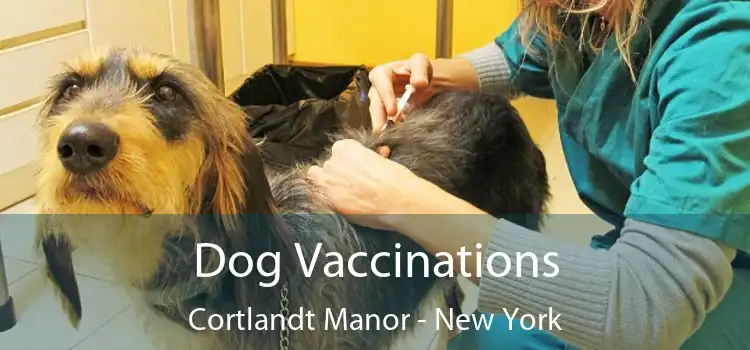 Dog Vaccinations Cortlandt Manor - New York