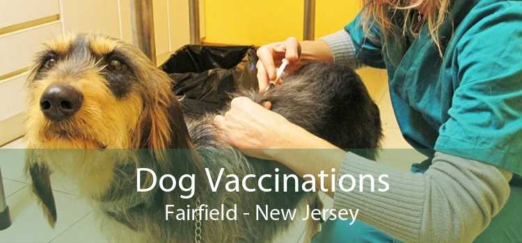 Dog Vaccinations Fairfield - New Jersey