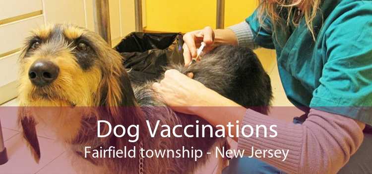 Dog Vaccinations Fairfield township - New Jersey