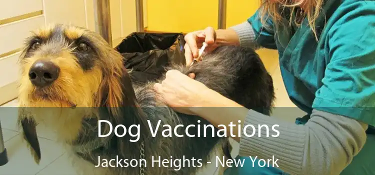 Dog Vaccinations Jackson Heights - New York