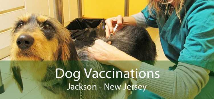 Dog Vaccinations Jackson - New Jersey