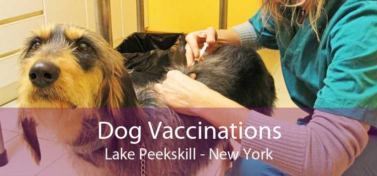 Dog Vaccinations Lake Peekskill - New York