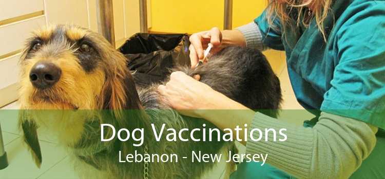 Dog Vaccinations Lebanon - New Jersey