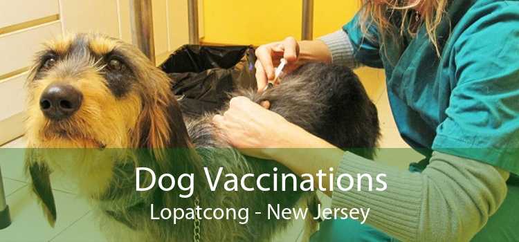 Dog Vaccinations Lopatcong - New Jersey