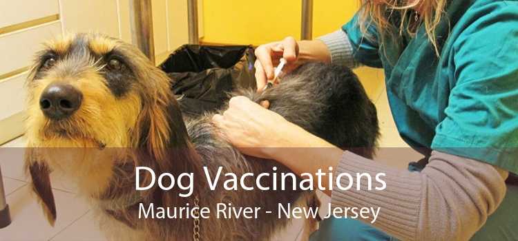 Dog Vaccinations Maurice River - New Jersey