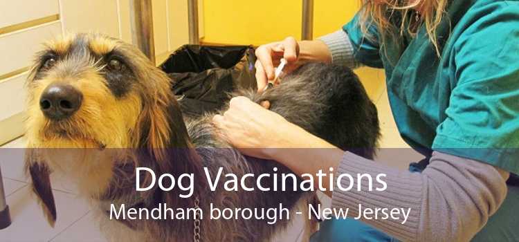 Dog Vaccinations Mendham borough - New Jersey