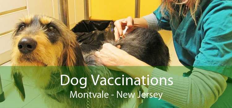Dog Vaccinations Montvale - New Jersey