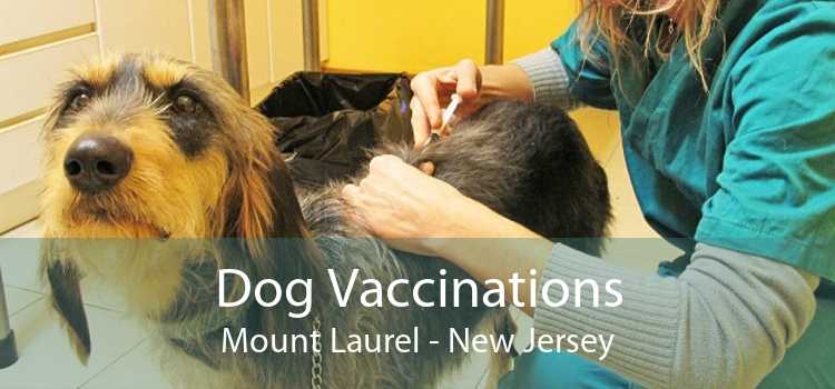 Dog Vaccinations Mount Laurel - New Jersey
