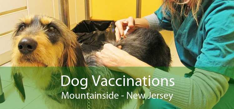 Dog Vaccinations Mountainside - New Jersey