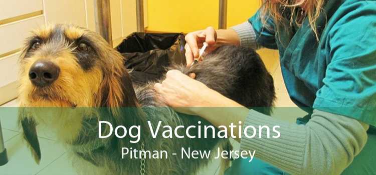 Dog Vaccinations Pitman - New Jersey
