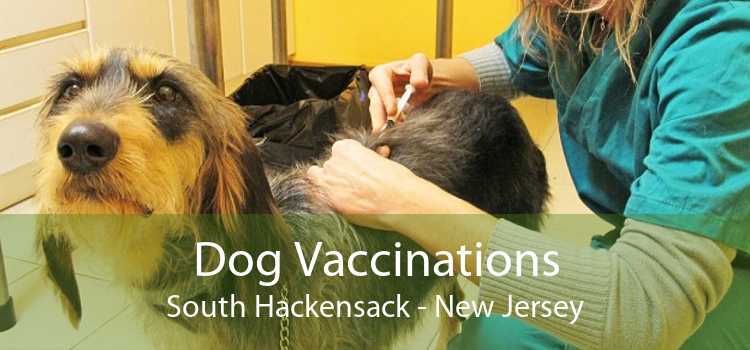 Dog Vaccinations South Hackensack - New Jersey