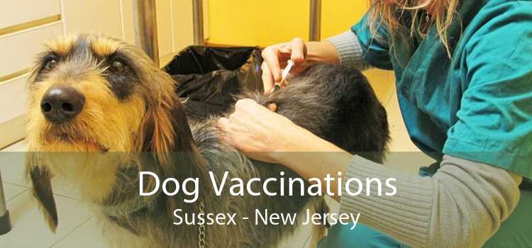 Dog Vaccinations Sussex - New Jersey