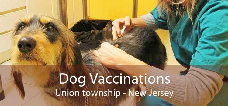 Dog Vaccinations Union township - New Jersey