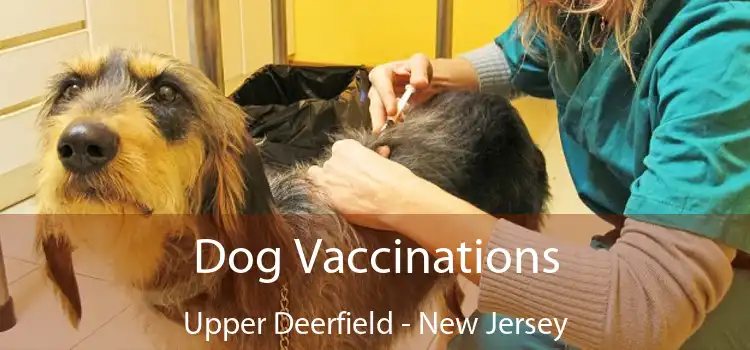 Dog Vaccinations Upper Deerfield - New Jersey