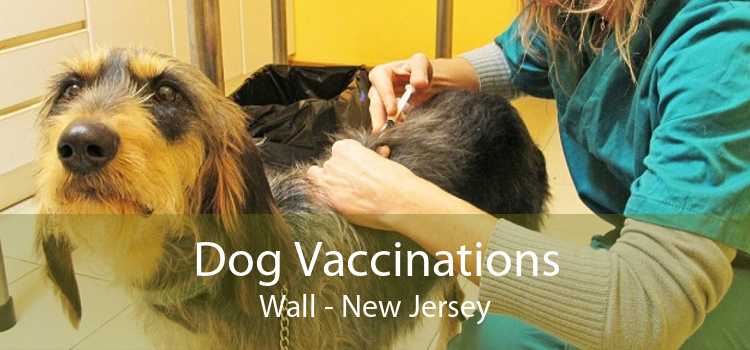 Dog Vaccinations Wall - New Jersey