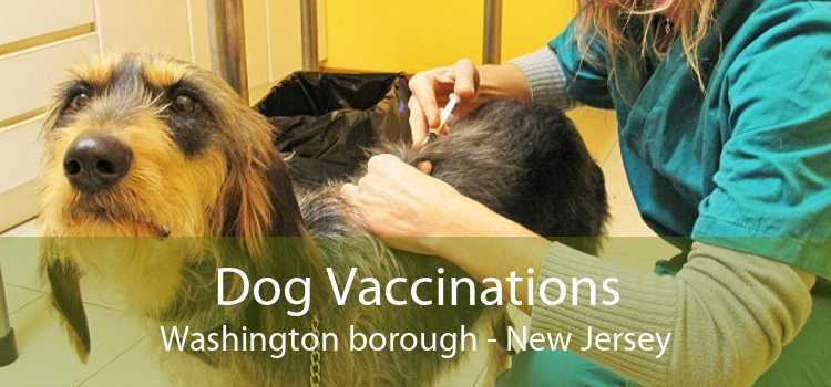 Dog Vaccinations Washington borough - New Jersey