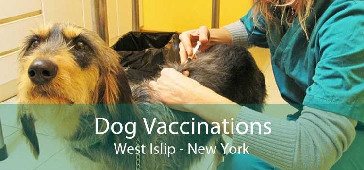 Dog Vaccinations West Islip - New York