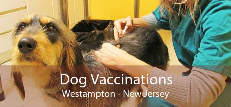 Dog Vaccinations Westampton - New Jersey