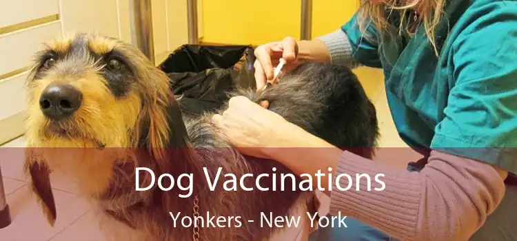 Dog Vaccinations Yonkers - New York