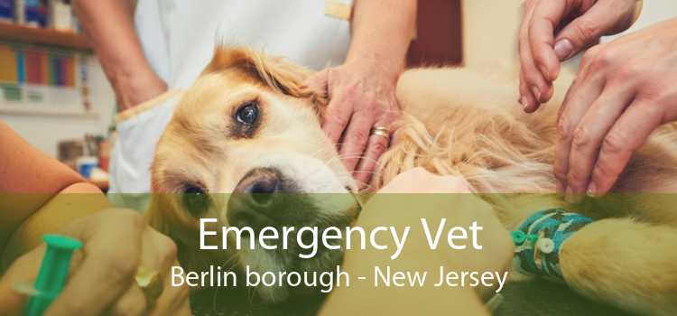 Emergency Vet Berlin borough - New Jersey