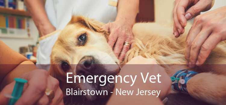 Emergency Vet Blairstown - New Jersey