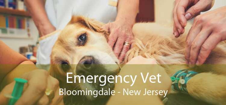 Emergency Vet Bloomingdale - New Jersey