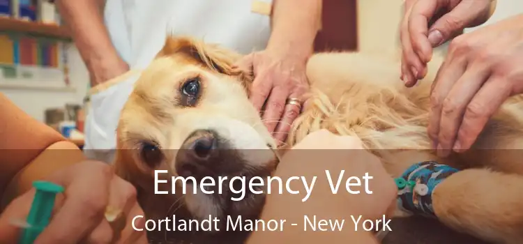 Emergency Vet Cortlandt Manor - New York