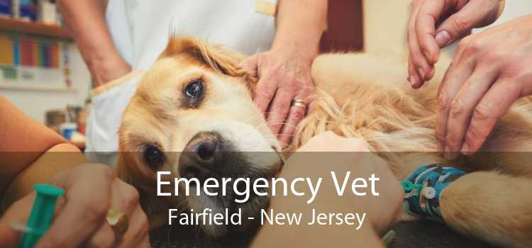 Emergency Vet Fairfield - New Jersey