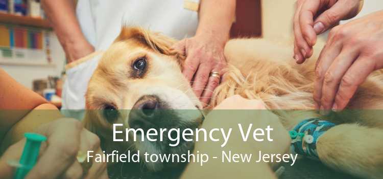 Emergency Vet Fairfield township - New Jersey