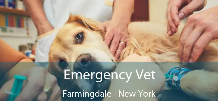 Emergency Vet Farmingdale - New York