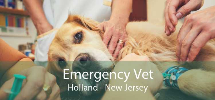 Emergency Vet Holland - New Jersey