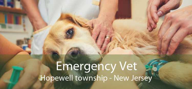 Emergency Vet Hopewell township - New Jersey