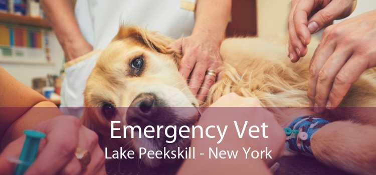Emergency Vet Lake Peekskill - New York
