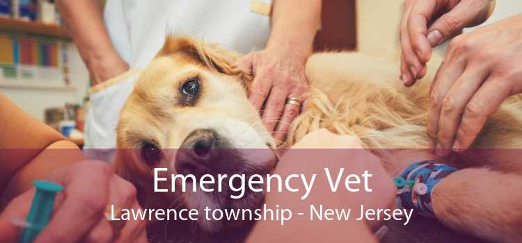 Emergency Vet Lawrence township - New Jersey