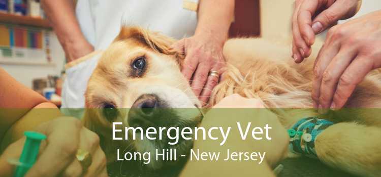 Emergency Vet Long Hill - New Jersey