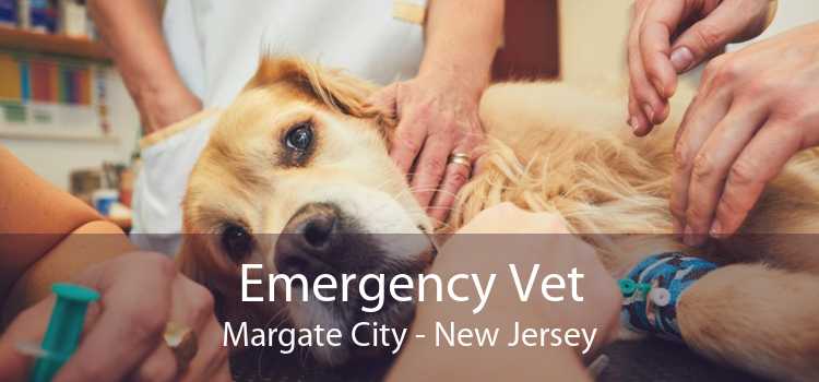 Emergency Vet Margate City - New Jersey