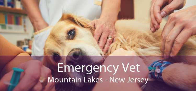 Emergency Vet Mountain Lakes - New Jersey