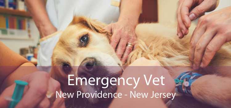 Emergency Vet New Providence - New Jersey